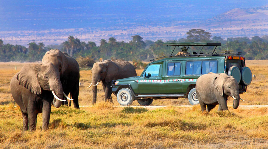 4 Days Maasai Mara Lake Nakuru