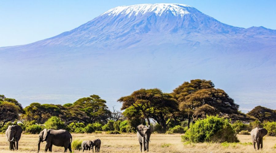 6 Days Marangu Route